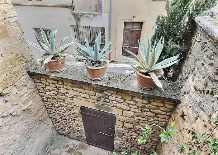Chez Lydia - Loft Cosy, Départ Canoë à Pied, Proche Pont-du-gard Et Uzès *